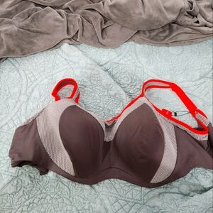 Curvy Couture Sports bra
